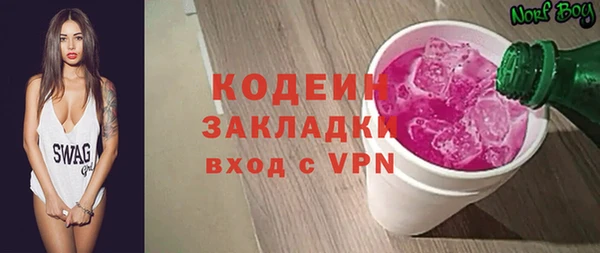 дурь Няндома