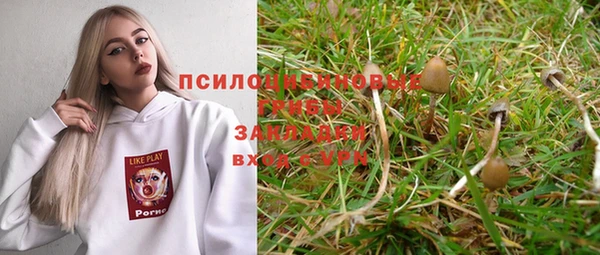 сатива Абаза