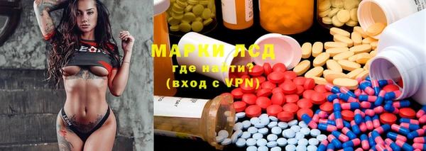 сатива Абаза
